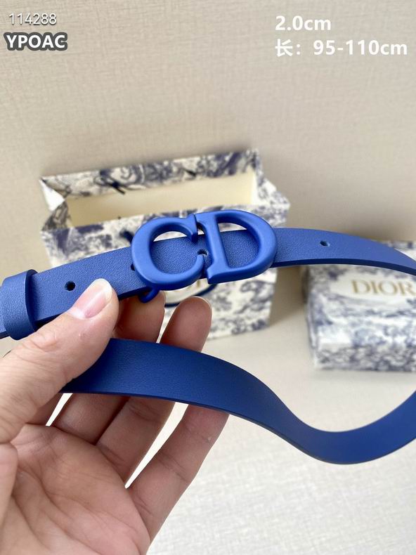 Dior belt 20mmX95-110cm 8L (4)