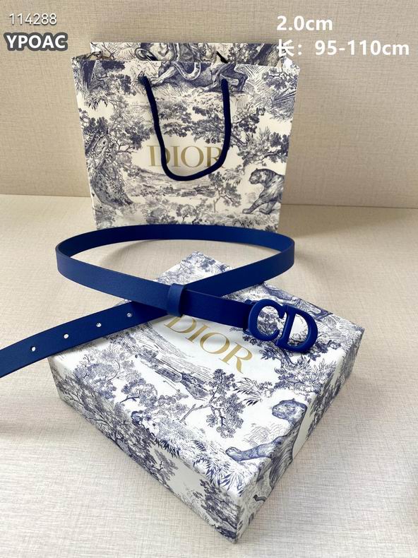 Dior belt 20mmX95-110cm 8L (6)