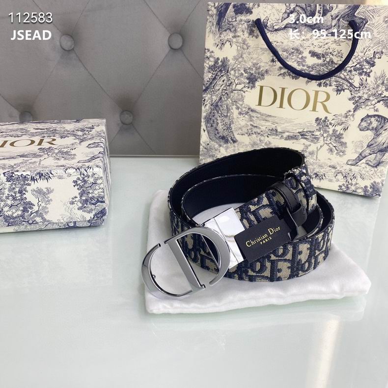 Dior belt 30mmX95-125cm 8L (11)