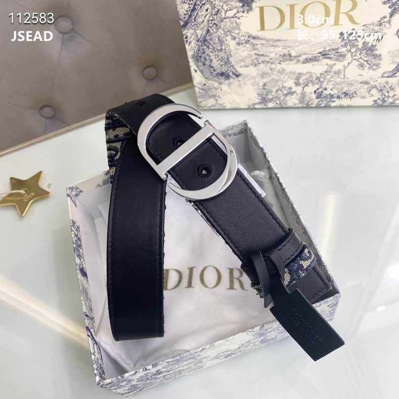Dior belt 30mmX95-125cm 8L (14)
