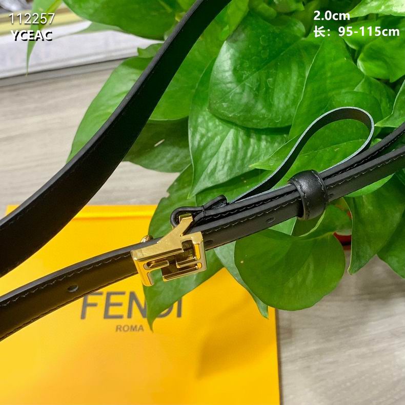 Fendi 24mmX95-110CM 8L (63)