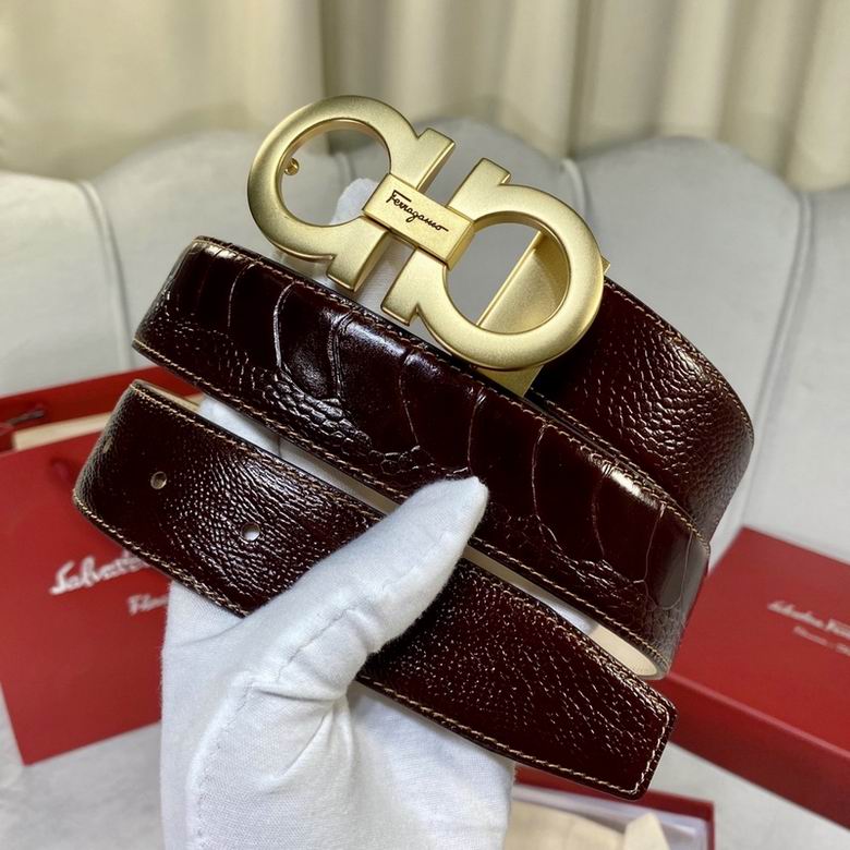 Ferragamo 34mmX95-125 7D (8)