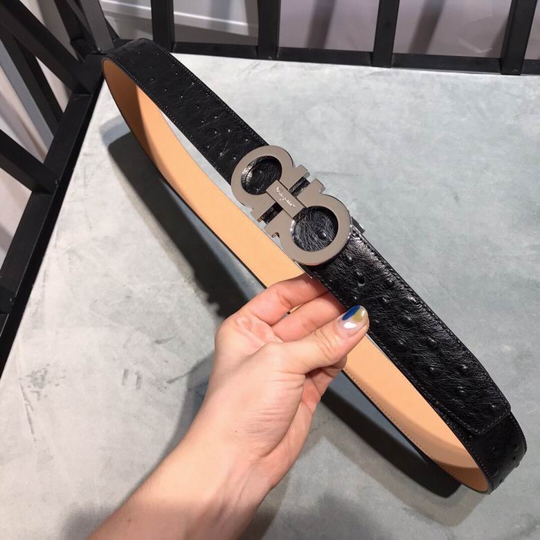 Ferragamo 34mmX95-125 7D  (1)