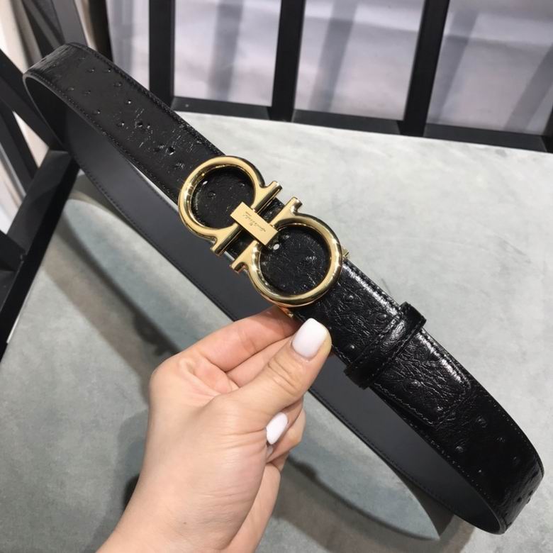 Ferragamo 34mmX95-125 7D  (1)