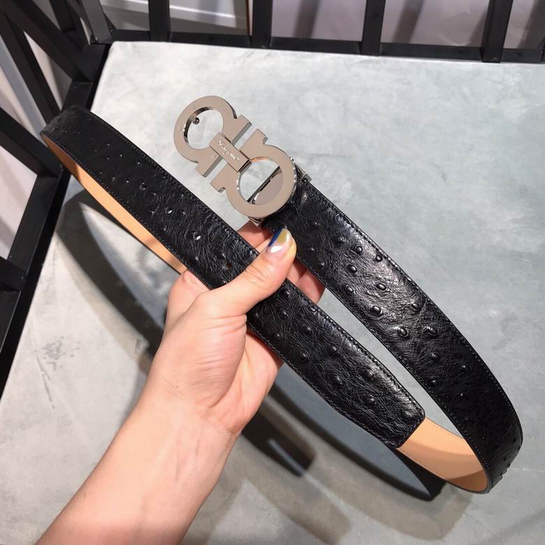 Ferragamo 34mmX95-125 7D  (2)