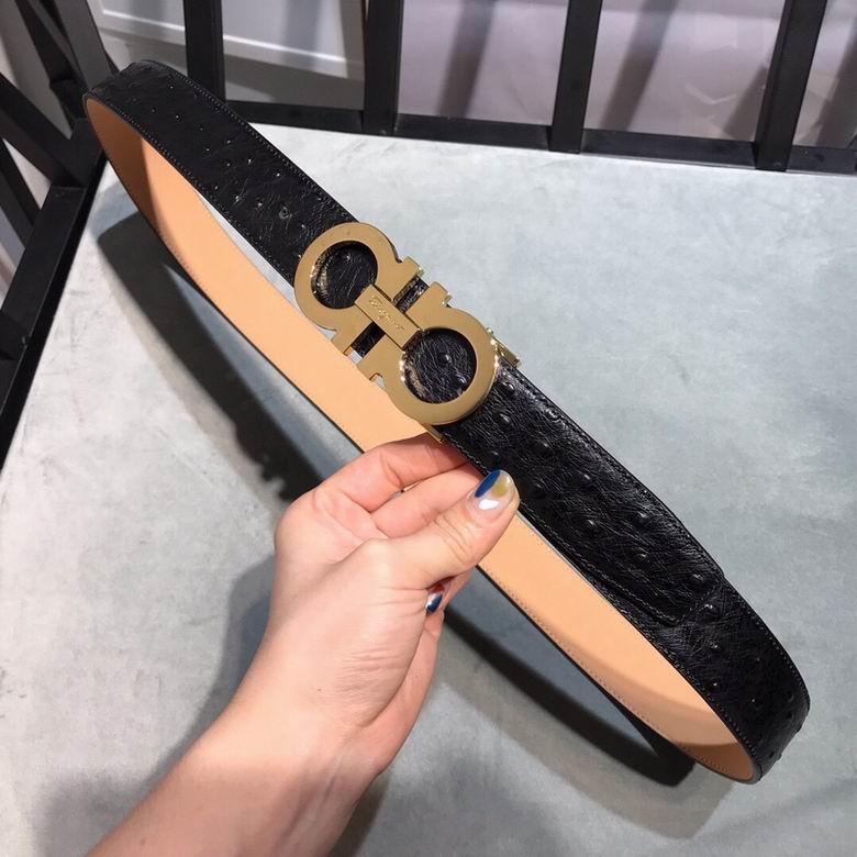 Ferragamo 34mmX95-125 7D  (3)