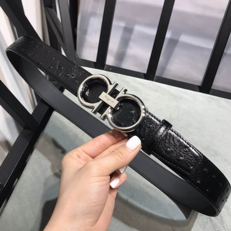 Ferragamo 34mmX95-125 7D  (3)