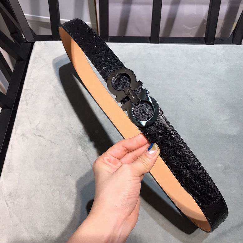 Ferragamo 34mmX95-125 7D  (5)