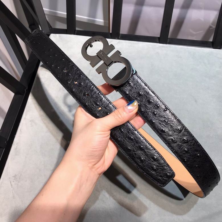 Ferragamo 34mmX95-125 7D  (6)