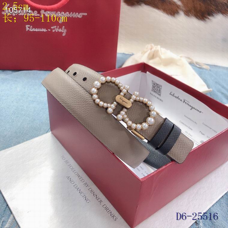 Ferragamo Belt 25mm 95-110cm 8L (20)
