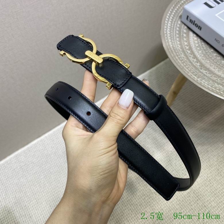 Ferragamo Belt 25mmx95x110cm 7D  (3)