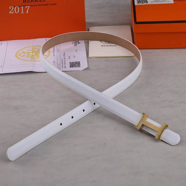 Hermes Belt 20mmX95-110CM 7D  (46)