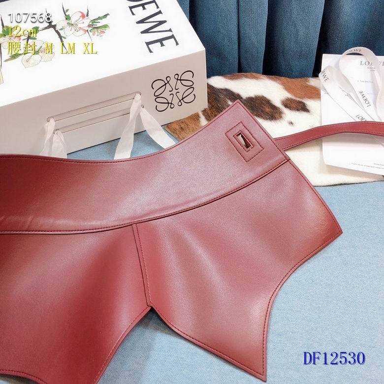 Loewe Belt 12cm  (1)