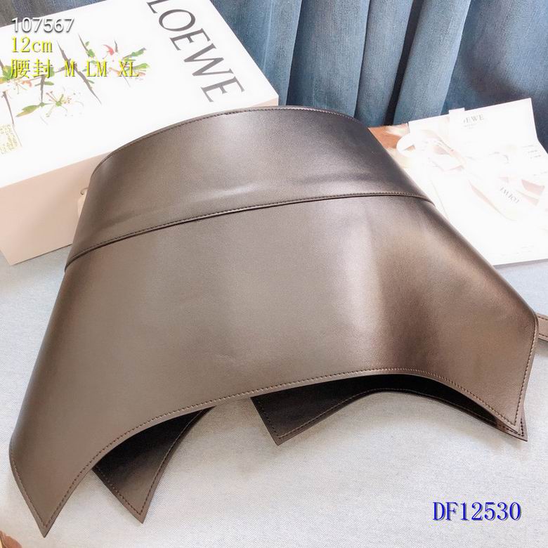 Loewe Belt 12cm  (11)