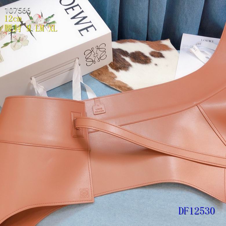 Loewe Belt 12cm  (17)