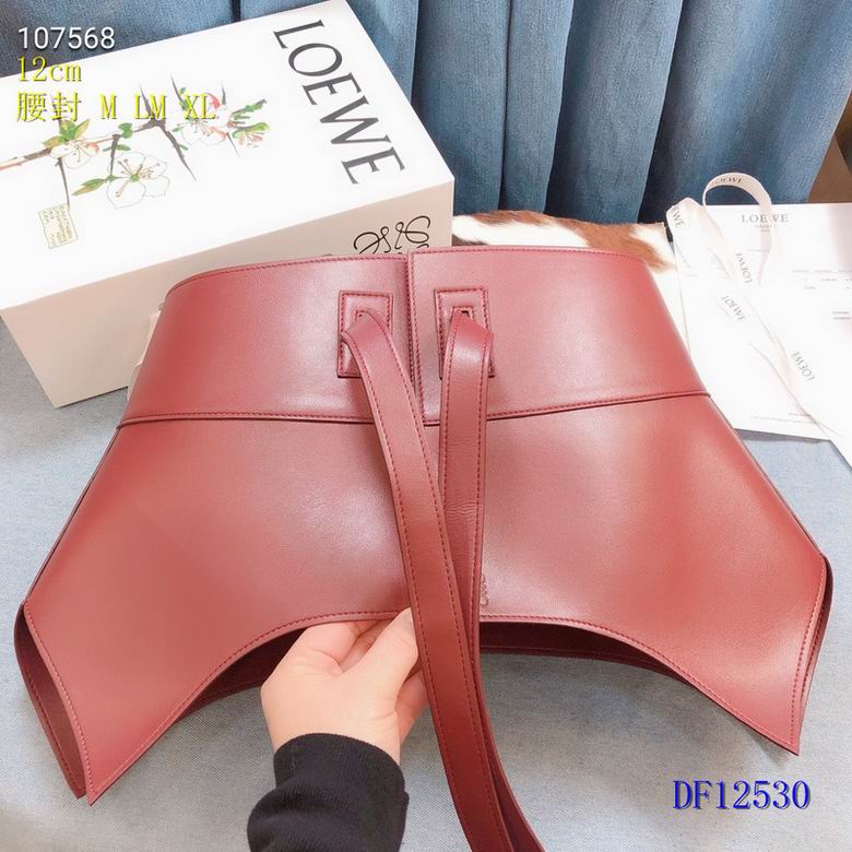 Loewe Belt 12cm  (6)