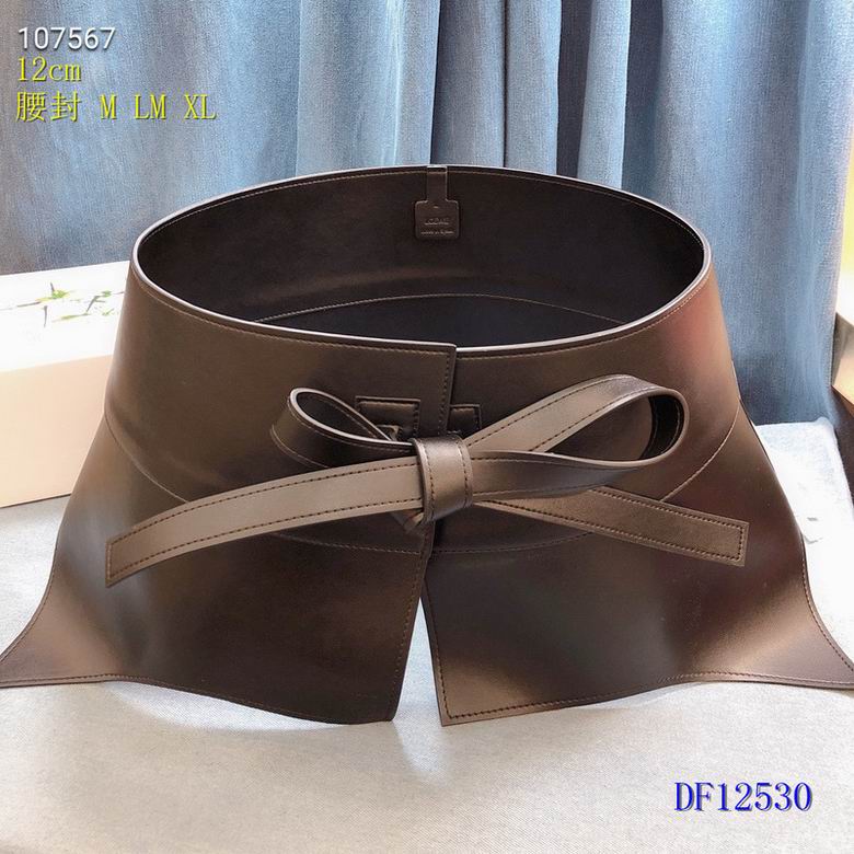 Loewe Belt 12cm  (8)