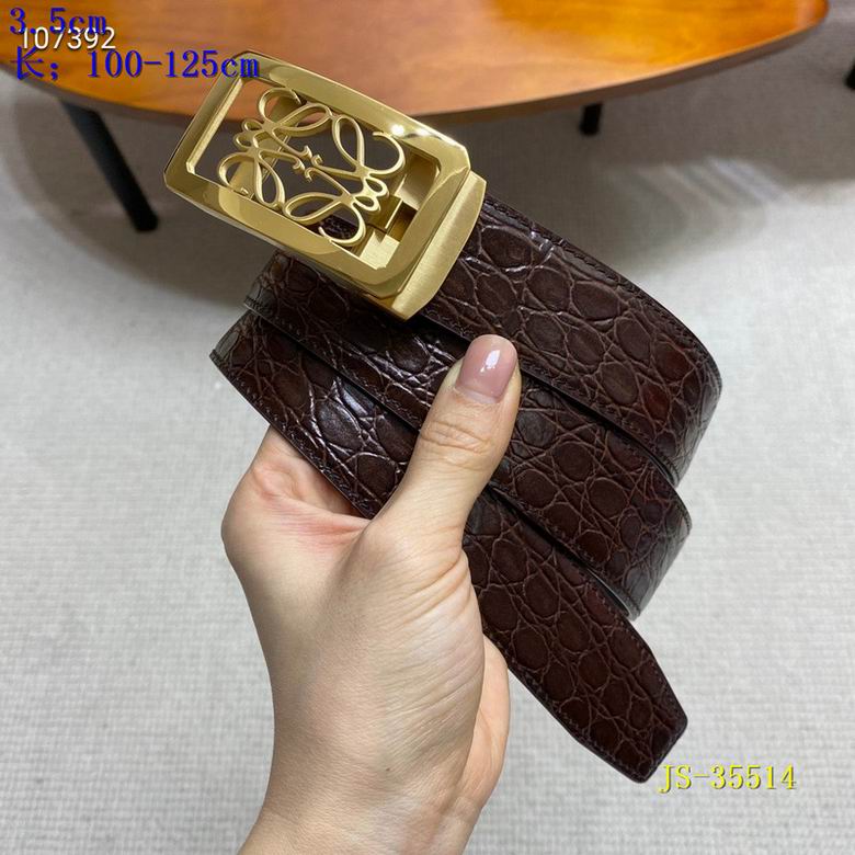Loewe Belt auto   (10)