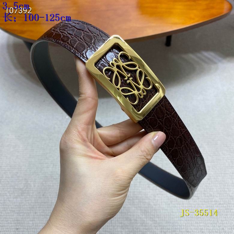 Loewe Belt auto   (9)