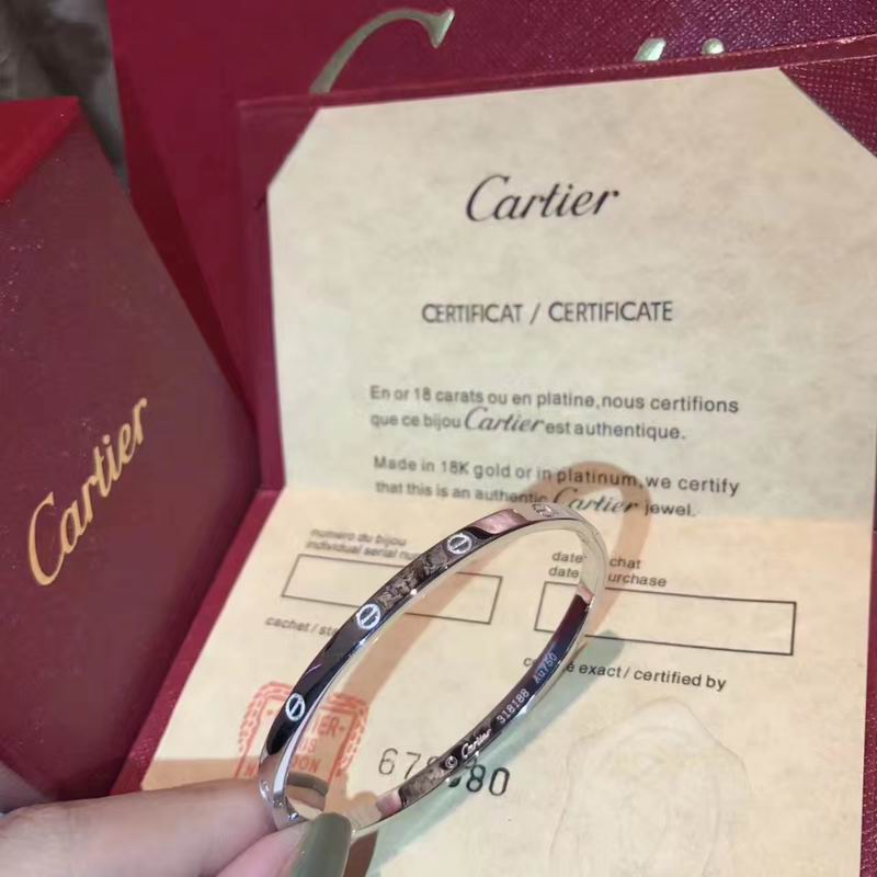 Cartier bracelet 09lyx4 (2)