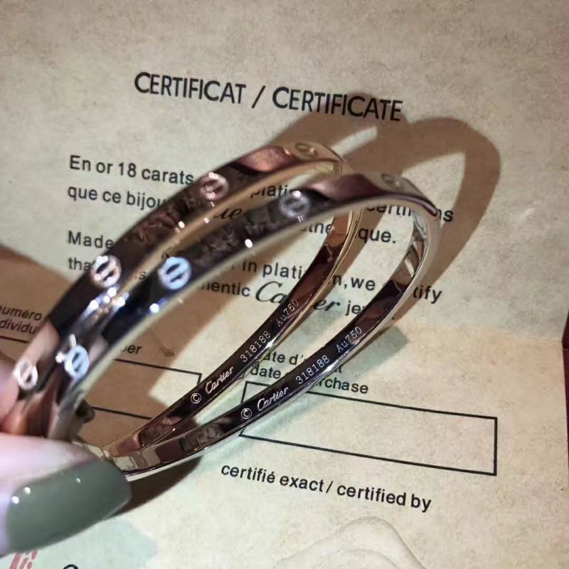 Cartier bracelet 09lyx4 (6)