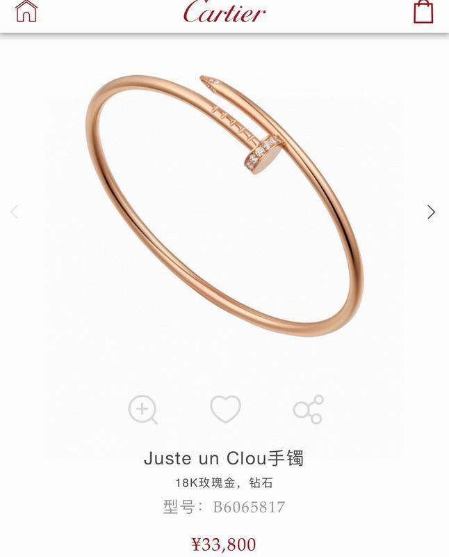 Cartier bracelet 09lyx9 (3)