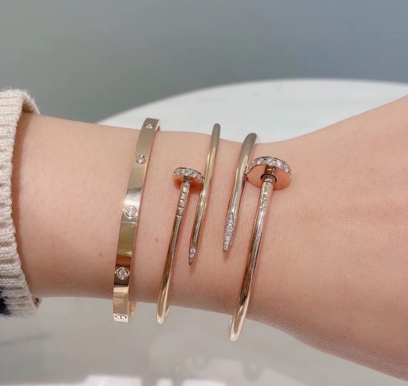 Cartier bracelet 09lyx9 (5)