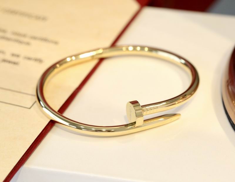 Cartier bracelet 10lyx14 (1)