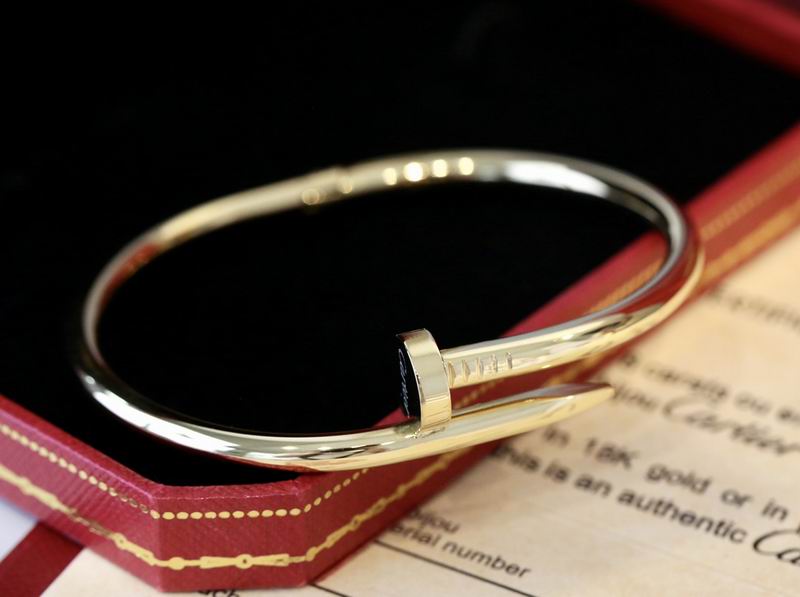 Cartier bracelet 10lyx14 (5)
