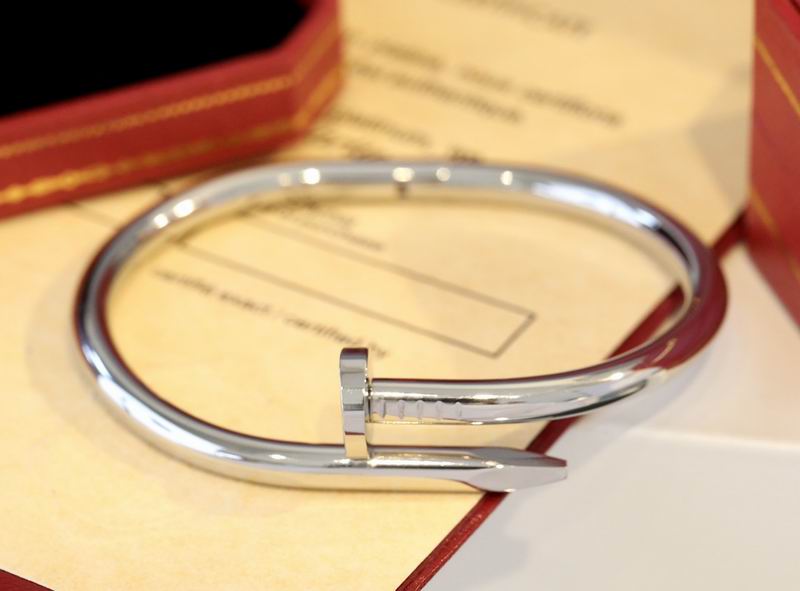 Cartier bracelet 10lyx15 (1)