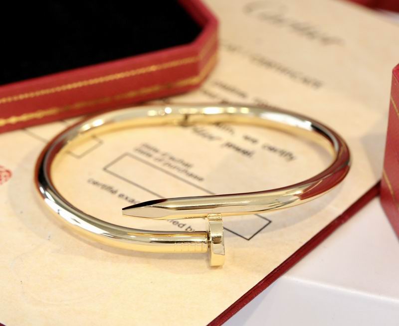 Cartier bracelet 10lyx15 (3)