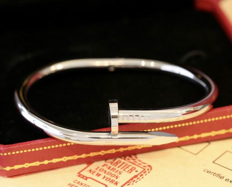 Cartier bracelet 10lyx15 (8)