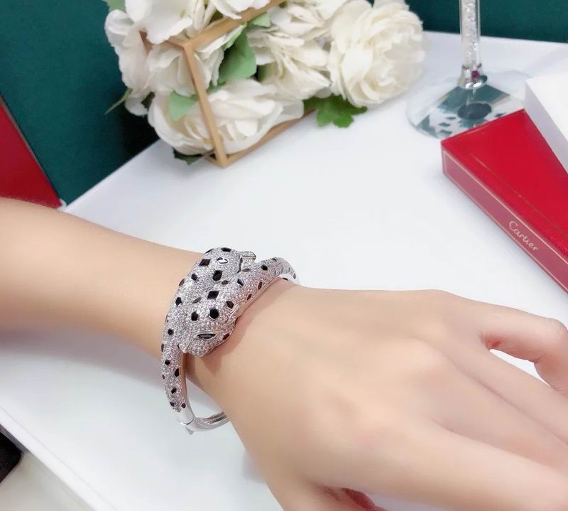 Cartier bracelet 11lyx24 (5)