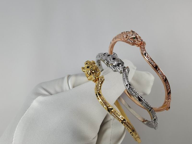 Cartier bracelet 11lyx26 (1)