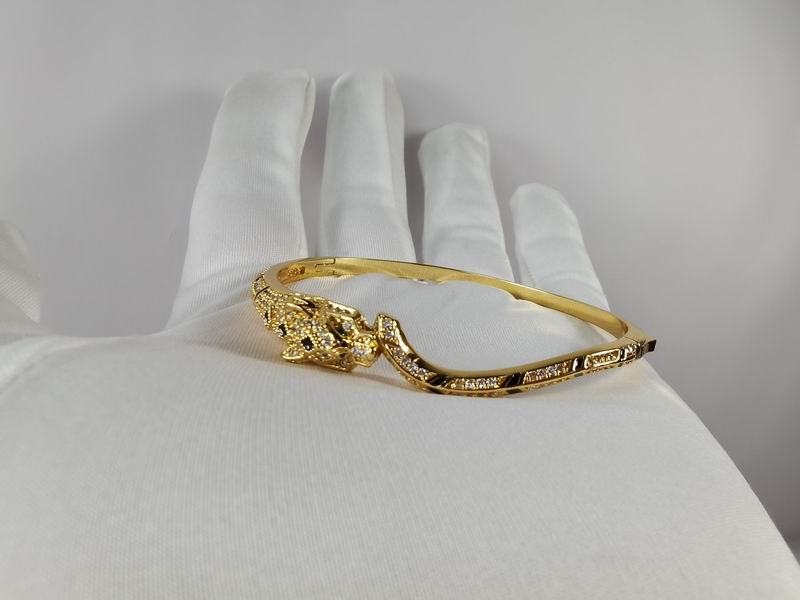 Cartier bracelet 11lyx26 (6)