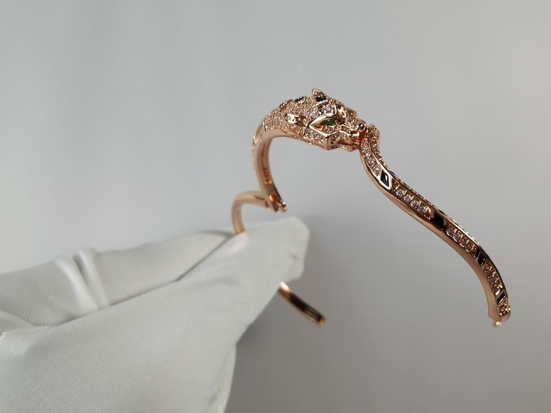 Cartier bracelet 11lyx26 (8)