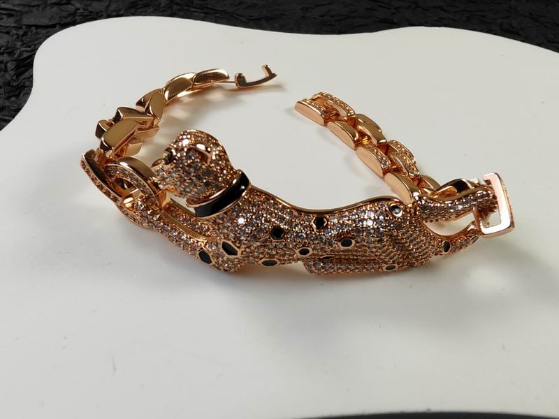 Cartier bracelet 11lyx27 (6)