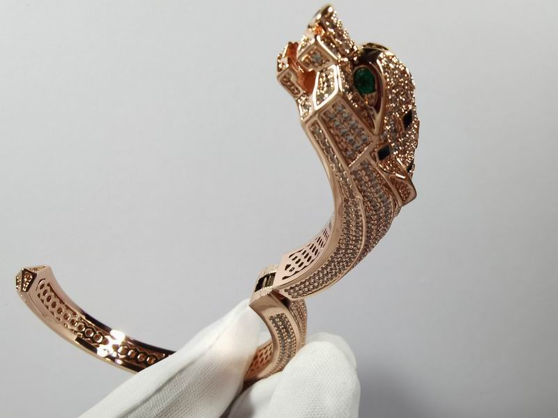 Cartier bracelet 11lyx29 (9)