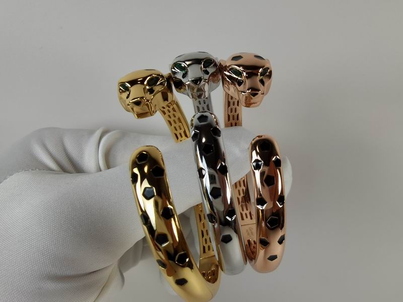 Cartier bracelet 11lyx30 (6)
