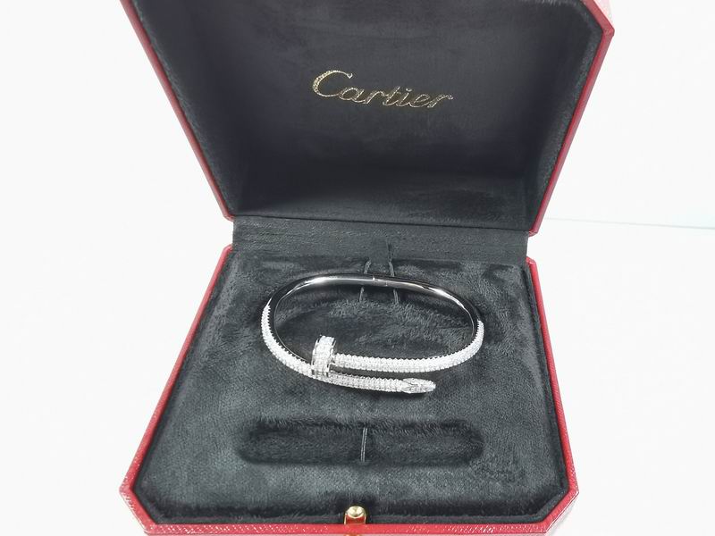 Cartier bracelet 11lyx31 (3)