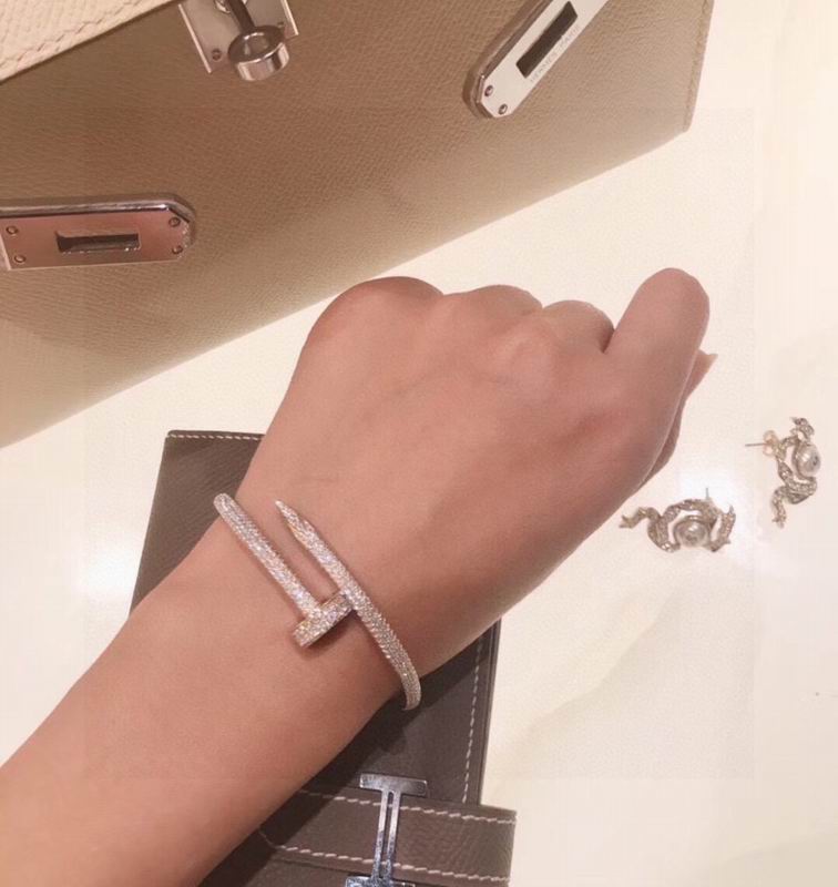 Cartier bracelet 11lyx33 (4)