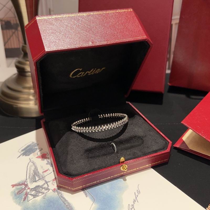 Cartier bracelet 11lyx34 (5)