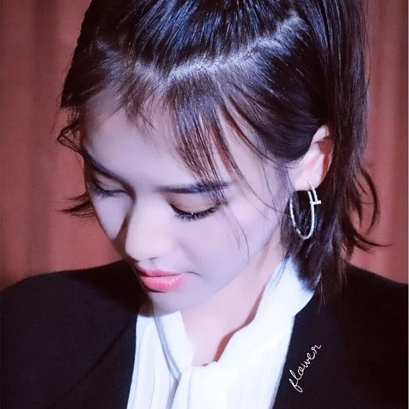 Cartier earring 09lyx8 (4)