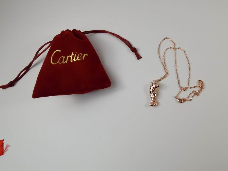 Cartier necklace 11lyx23 (17)
