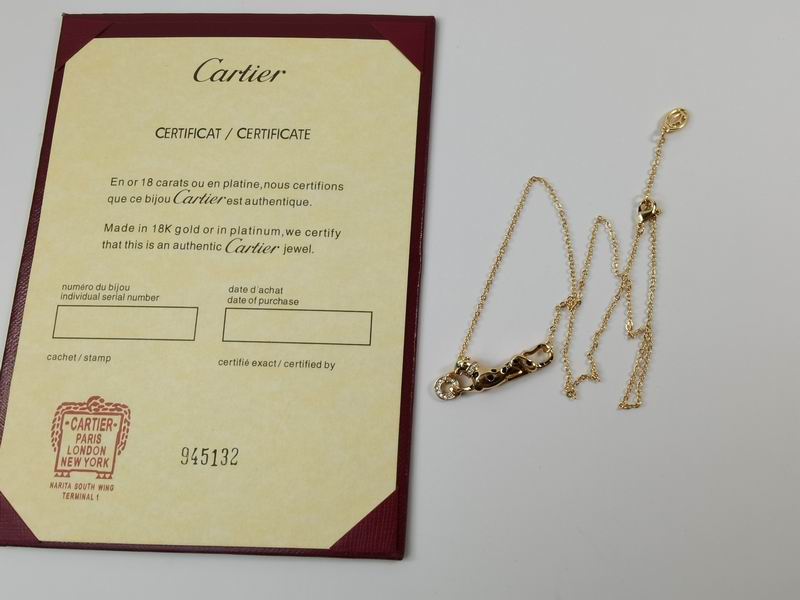 Cartier necklace 11lyx24 (1)