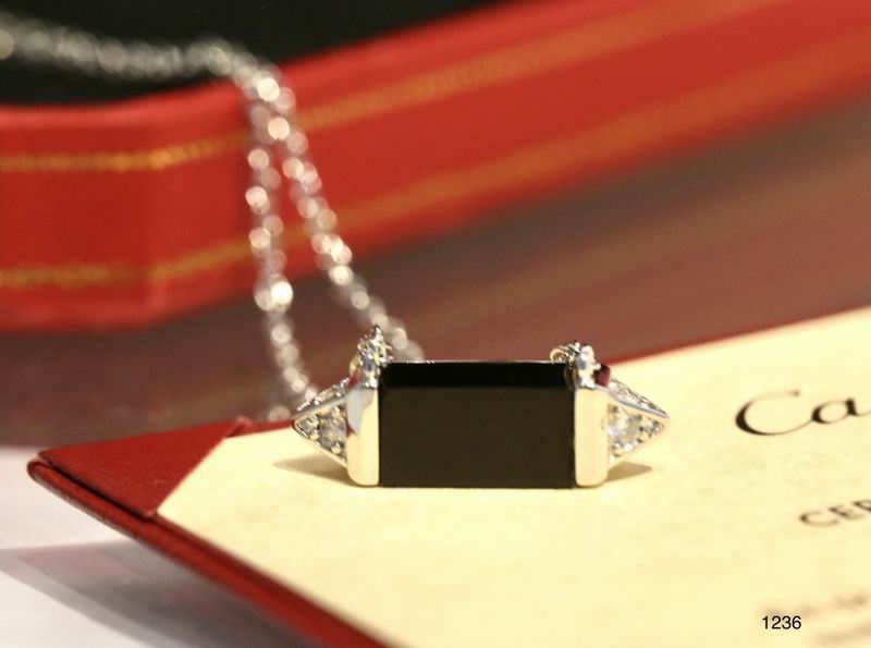 Cartier necklace 11lyx25 (17)