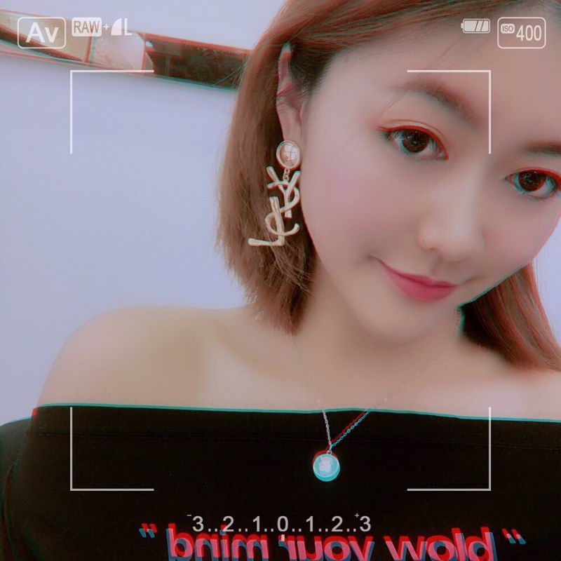 YSL Earrings 11lyr102 (4)