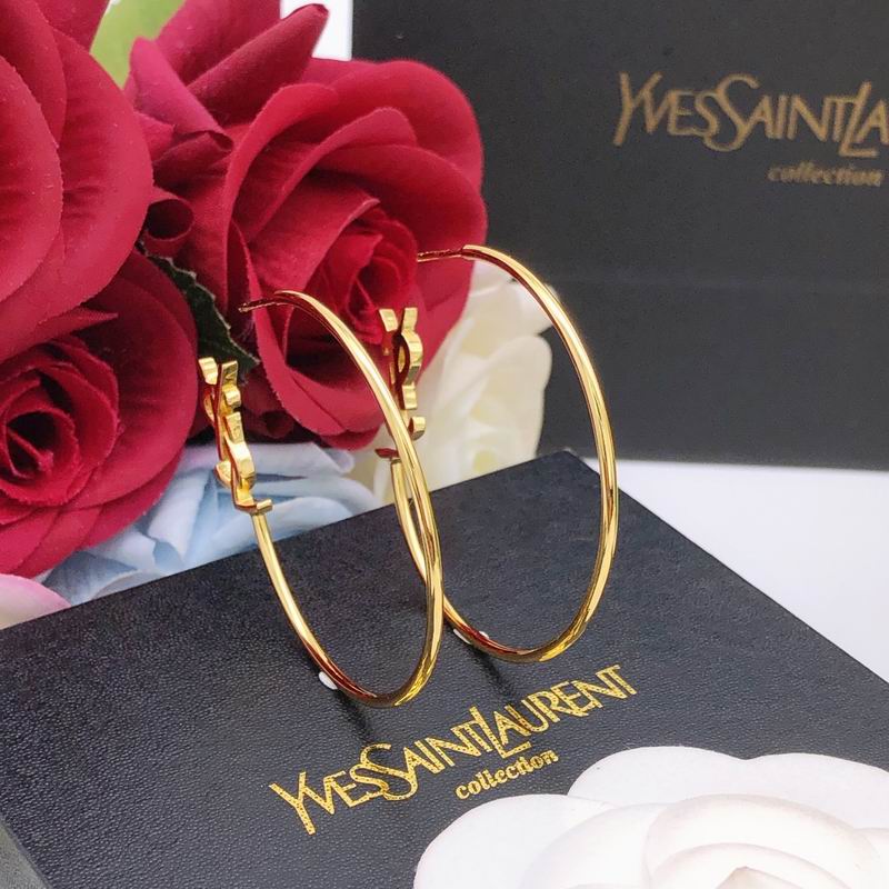 YSL Earrings 11lyr88 (2)