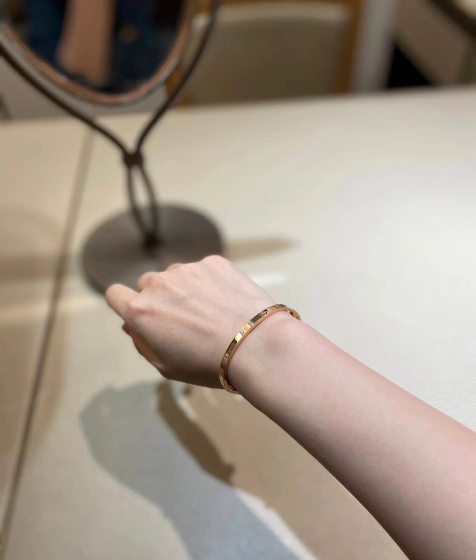 Cartier bracelet 11lyx39 (8)