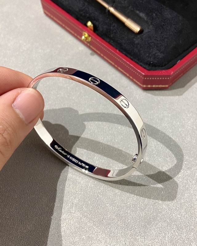 Cartier bracelet 12lyx41 (11)